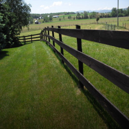 FencingFencing